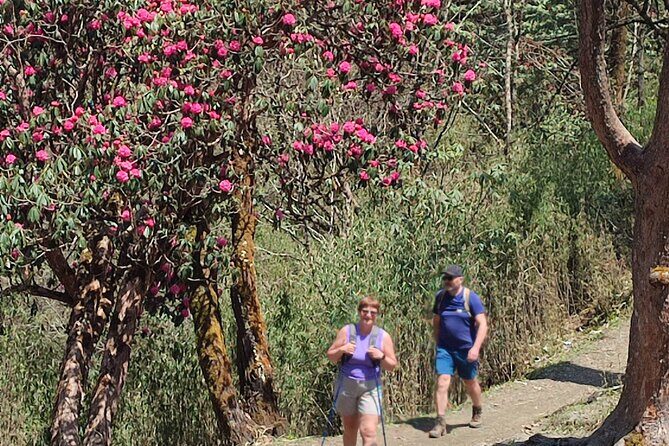 Ghorepani Poon Hill Trek: 12-Day Journey in Annapurna - Who Should Consider This Trek?