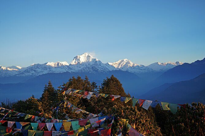 Ghorepani Poon Hill Trek - The Experience: A Walk Through Nepal’s Himalayan Heart