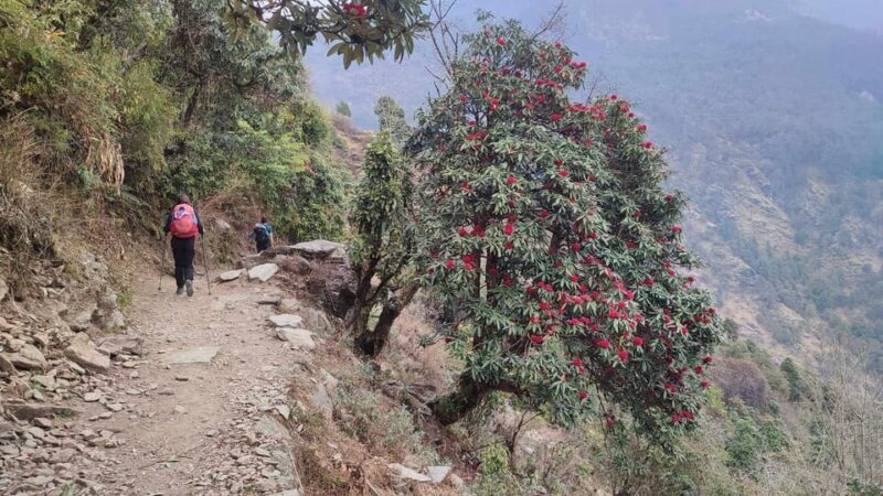 Ghorepani Poon Hill Trek - 4 Days (Full Package) - Final Thoughts