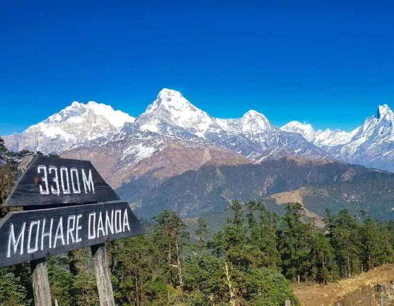 Ghorepani poon hill trek - The Sum Up