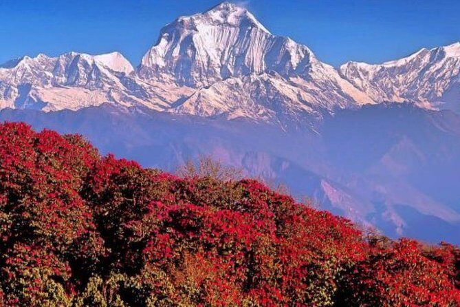 Ghorepani Poonhill Trek -8 Days - Starting in Kathmandu and Heading to Pokhara