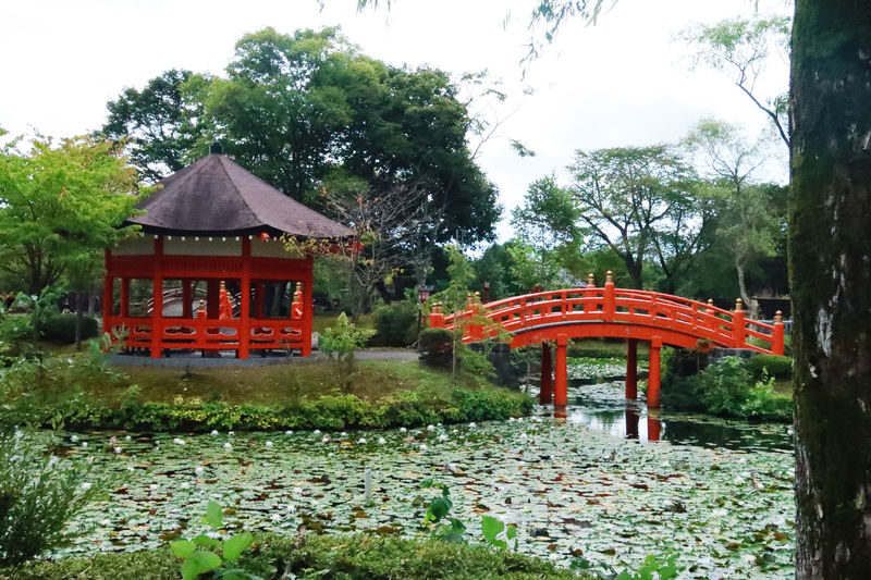 Ghost of Yotei Hokkaido Tour - Makkari Shrine and Fukidashi Park