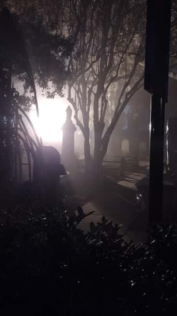 Ghost Tour - Charleston Dark History & Ghost Tour With Adam - Why You Should Consider This Tour