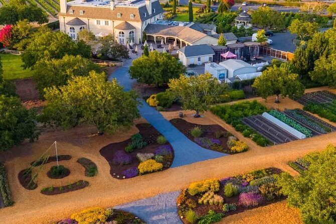 Giant Redwoods Tour Including a 5-Course Winery Lunch - A Deep Dive Into the Experience