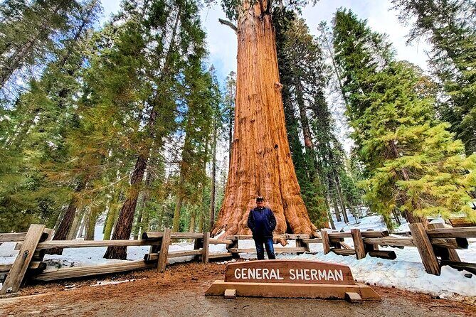 Giant Sequoia National Park Private Day Tour from Los Angeles - The Route and Its Highlights