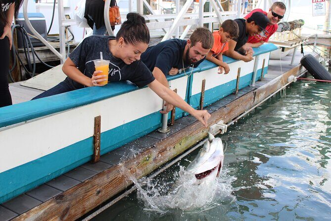 Giant Tarpon Fish Feeding Experience in Bayside Marketplace - Experience the Magnificent Tarpon Fish Feeding in Bayside Marketplace