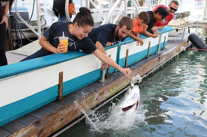 Giant Tarpon Fish Feeding Experience in Bayside Marketplace - Who Will Love This Experience?