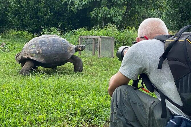 Giant Turtle Watching and Lava Tunnels Tour - Who Would Love This Tour?