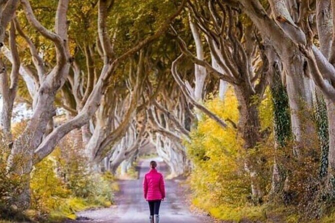 Giants Causeway and Belfast 2 Days with Private Chauffeur Tour - Considerations and Tips