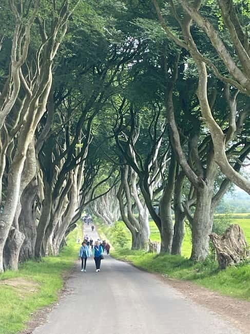 GIANTS CAUSEWAY & BLACK TAXI TOUR - Exploring Northern Ireland: The GIANTS CAUSEWAY & BLACK TAXI TOUR