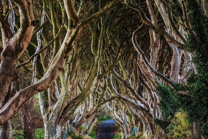 Giant's Causeway Full Day Tour from Belfast - Frequently Asked Questions