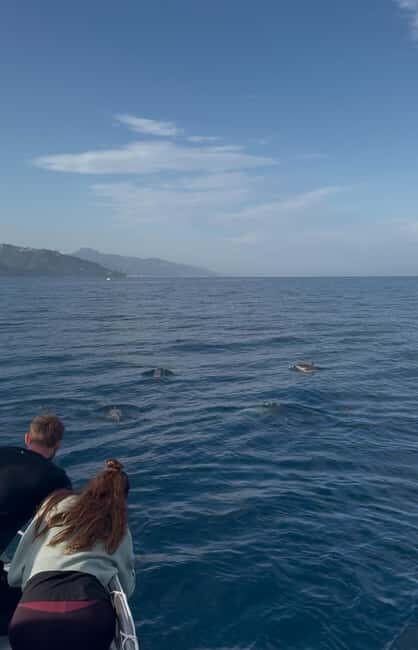 Giardini Naxos: Dolphin Searching Sunset Boat Tour - FAQ