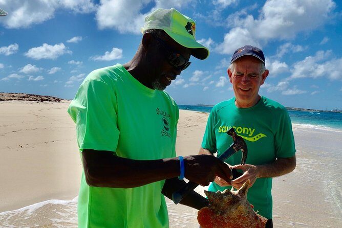 Gibbs Cay Stingray and Conch Dive Adventure - An In-Depth Look at the Gibbs Cay Stingray and Conch Dive Adventure