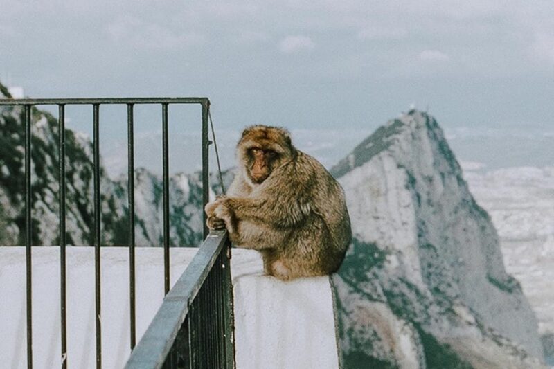 Gibraltar Day Trip from Seville - Practical Considerations