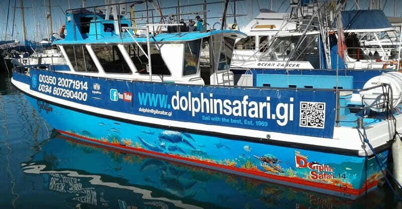 Gibraltar: Dolphin Watching Boat Tour V.I.P - Experience the Wild: Dolphin Watching Boat Tour V.I.P in Gibraltar