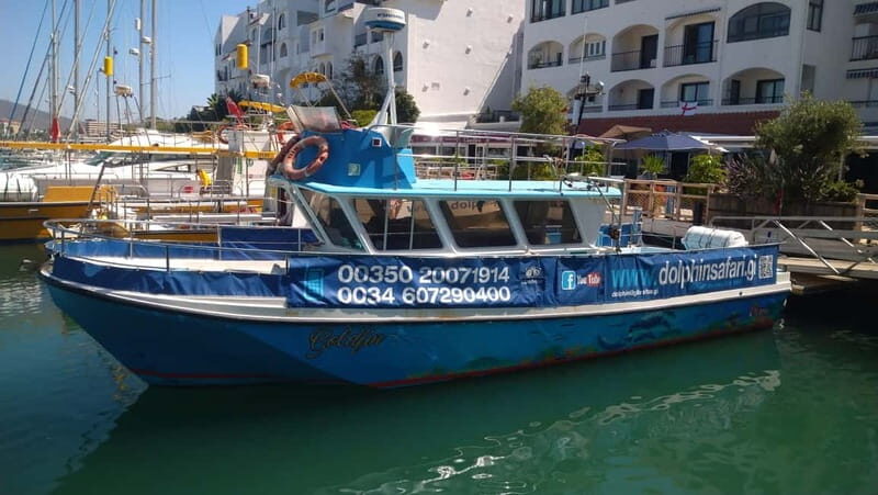 Gibraltar: Dolphin Watching Boat Tour V.I.P - Key Points
