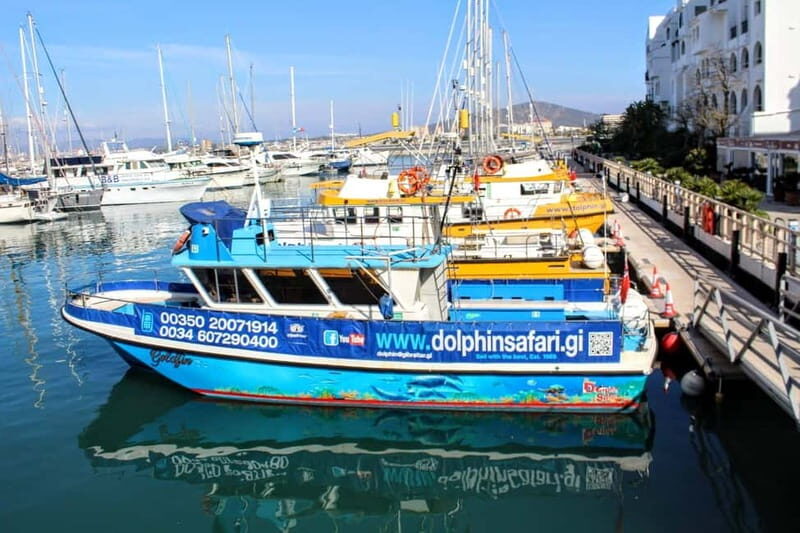 Gibraltar: Dolphin Watching Boat Tour V.I.P - The Sum Up