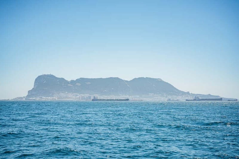 Gibraltar: Dolphin Watching Tour - Who Will Enjoy This Tour?