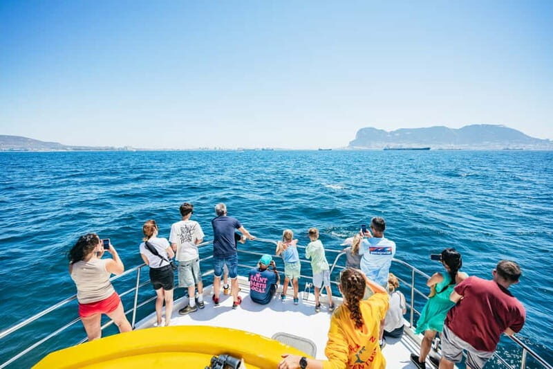 Gibraltar: Dolphin Watching Tour - Authentic Experiences and Authenticity