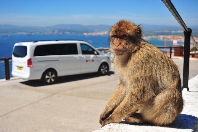 Gibraltar Inside Out Standard Tour 1.45hrs - An In-Depth Look at the Gibraltar Inside Out Standard Tour