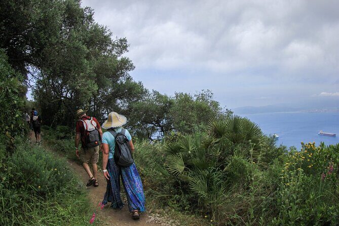 Gibraltar Nature Reserve Admission Pass to All Attractions - In-Depth Review of the Gibraltar Nature Reserve Admission Pass