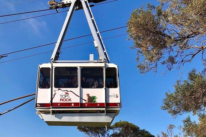 Gibraltar Pass- The Official City Pass for all attractions! - Authentic Experiences and Practical Tips