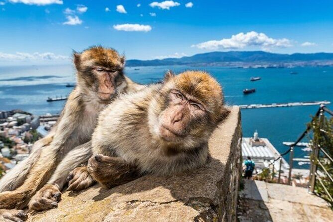 Gibraltar Pass- The Official City Pass for all attractions! - Frequently Asked Questions