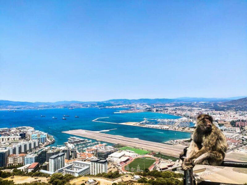 Gibraltar: premium private day trip & Rock tour - Gibraltar: A Private Day Trip & Rock Tour — An Authentic Look