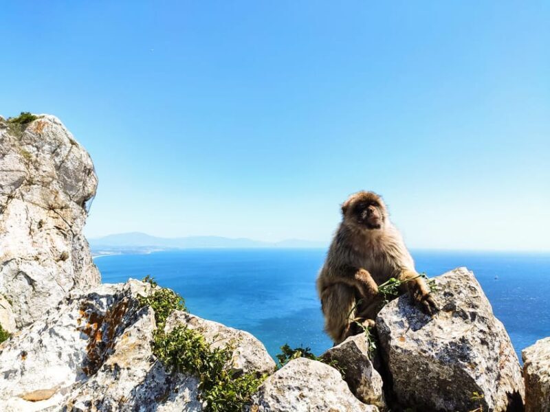 Gibraltar: premium private day trip & Rock tour - Final Thoughts