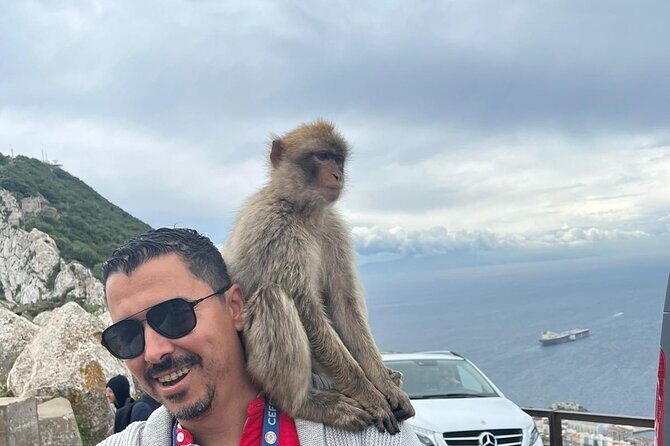 Gibraltar Private Tour from Malaga and Surronding Areas - Who Would Love This Tour?