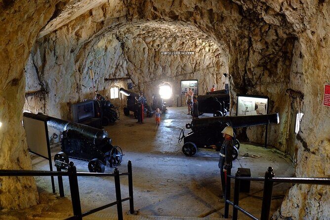 Gibraltar Private Tour from Malaga and Surronding Areas - The Sum Up