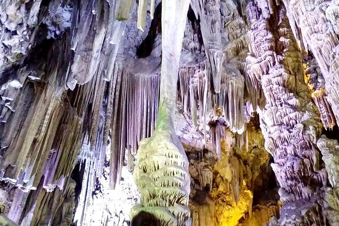 Gibraltar private trip from Marbella or Malaga - An In-Depth Look at the Gibraltar Private Tour