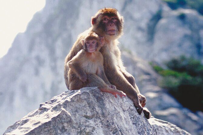 Gibraltar Rock Guided Tour - FAQ