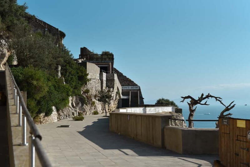Gibraltar Rock tour - Authentic Experiences and Insights from Reviews