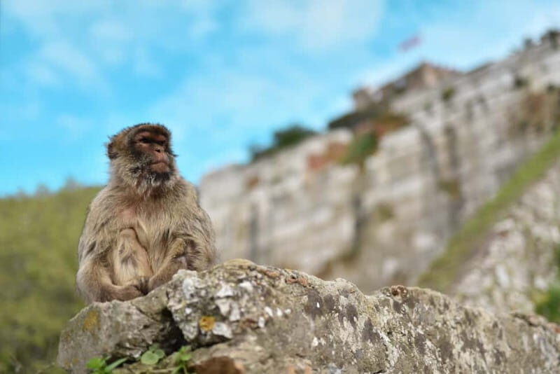 Gibraltar Rock tour - Who Should Consider This Tour?