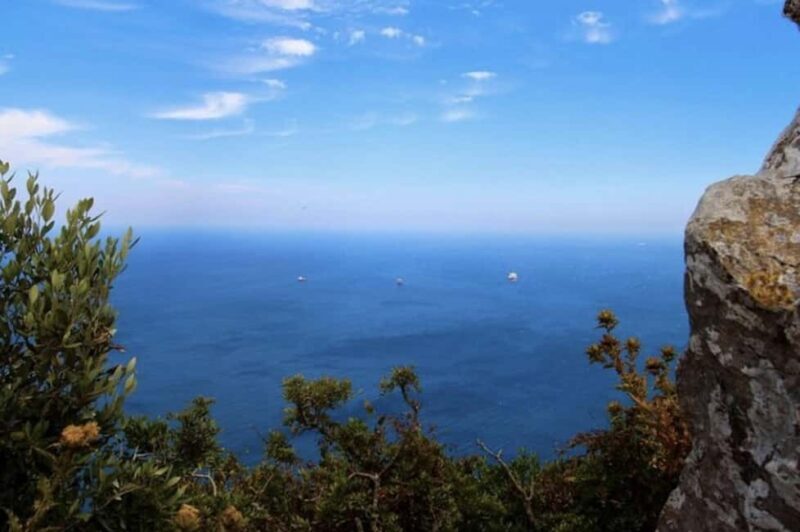 Gibraltar Shore Excursion: The Original Rock & Caves Tour - Key Points