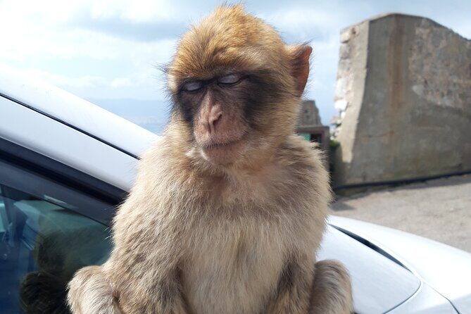 Gibraltar Sightseeing : Classic Shore Excursion (Private) - Exploring Gibraltar in Detail