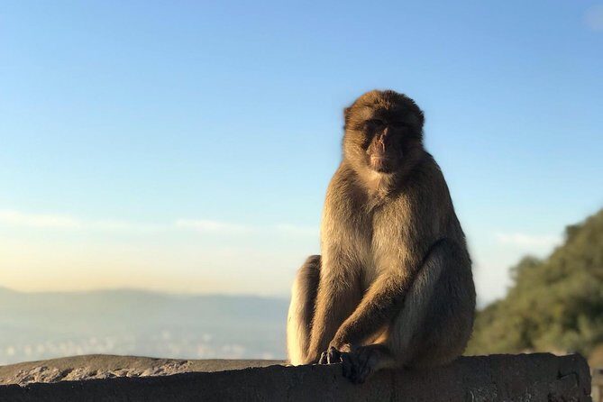 Gibraltar Sightseeing: Premium Rock Tour / Shore Excursion (Private) - In-Depth Look at the Itinerary