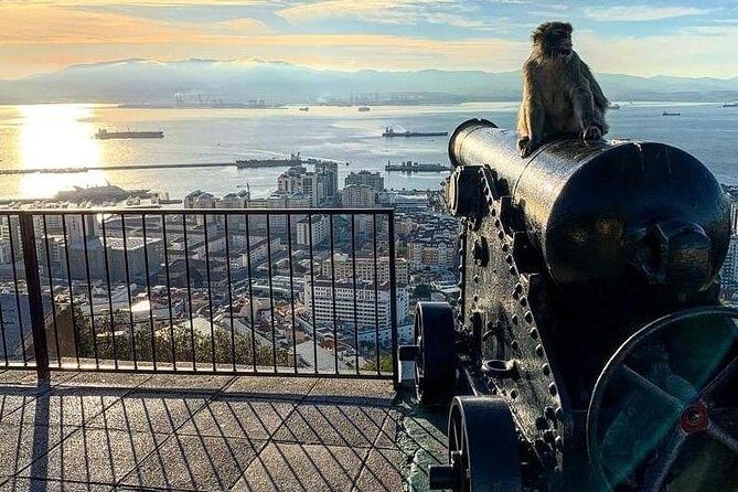Gibraltar Sightseeing :SKYWALK AND SUSPENSION BRIDGE TOUR (Private) - Final Thoughts