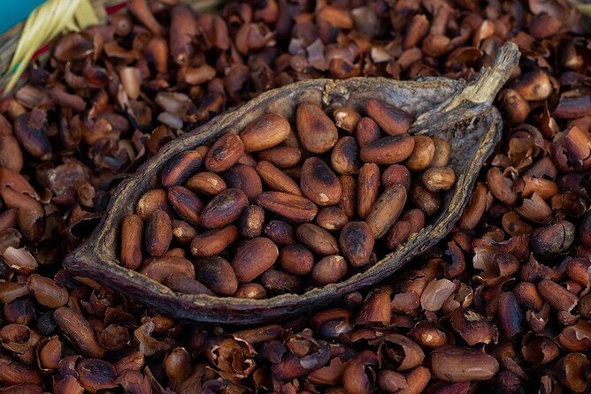 Gifts of the Earth Tour - The Sum Up