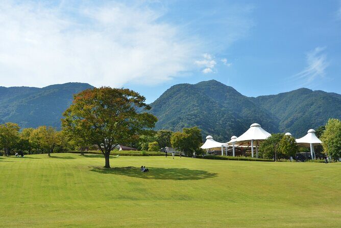 Gifu: Yoro Unforgettable Walkable Artwork - Gifu: Yoro Unforgettable Walkable Artwork — A Detailed Review