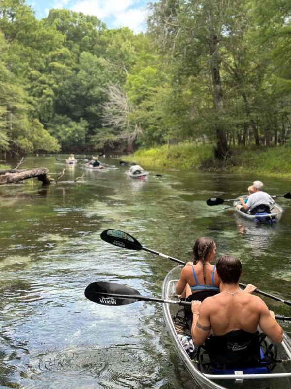 Gilchrist Blue: Clear Kayak Eco Tour - Who Will Love This Tour?