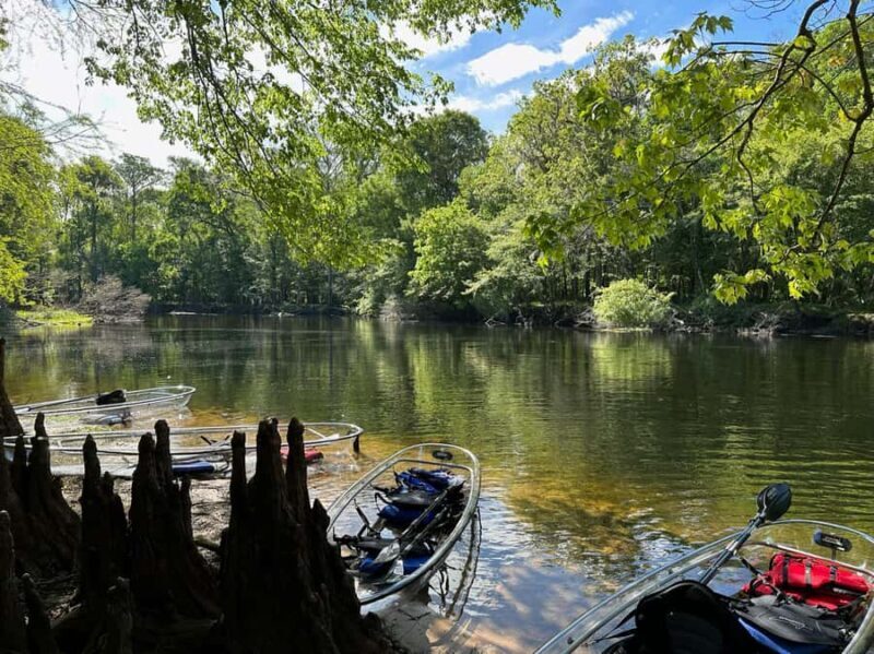 Gilchrist Blue: Clear Kayak Eco Tour - Final Thoughts