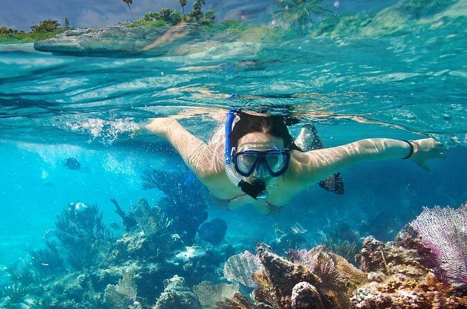 Gili Air : Private Snorkeling with 4 spots - Analyzing the Value of This Tour