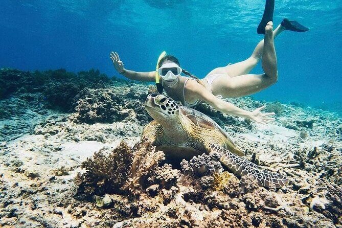 Gili Air: Snorkeling 3 Gili Islands with GoPro Camera - An In-Depth Review of the Gili Islands Snorkeling Tour