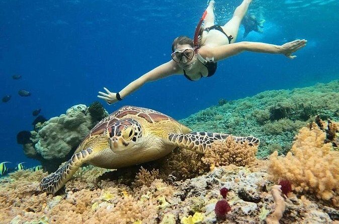 Gili Air: Snorkeling 3 Gili Islands with GoPro Camera - The Sum Up