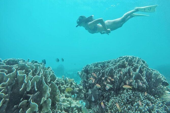 Gili island Snorkeling Half Day Trip departure from Gili Trawangan - FAQ