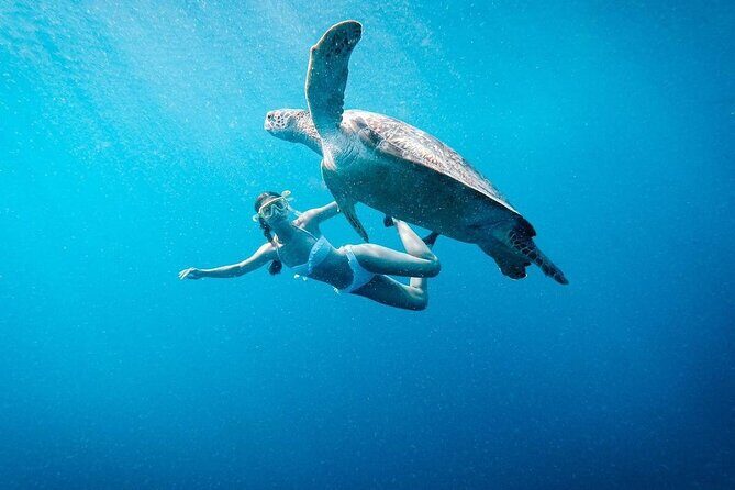 Gili Island Snorkeling Trip - Gili Trawangan, Gili Meno, & Gili Air, From Lombok - An Up-Close Look at the Gili Island Snorkeling Trip from Lombok