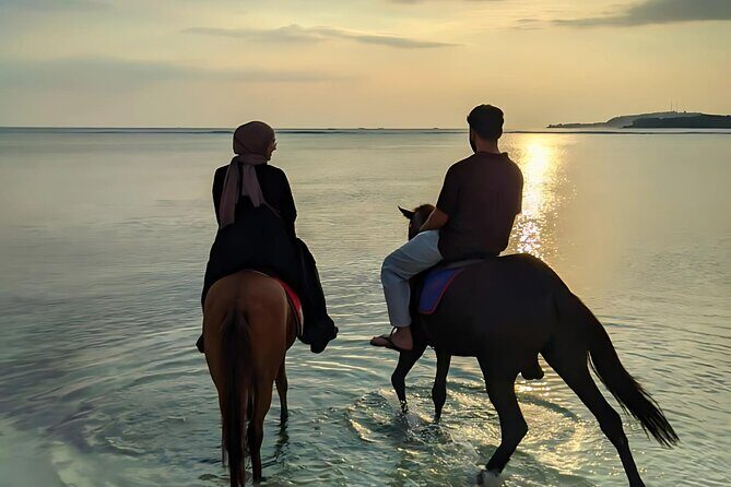 Gili Meno Horse Riding Adventure on the Beach for 1 Hour - Why This Experience Offers Great Value