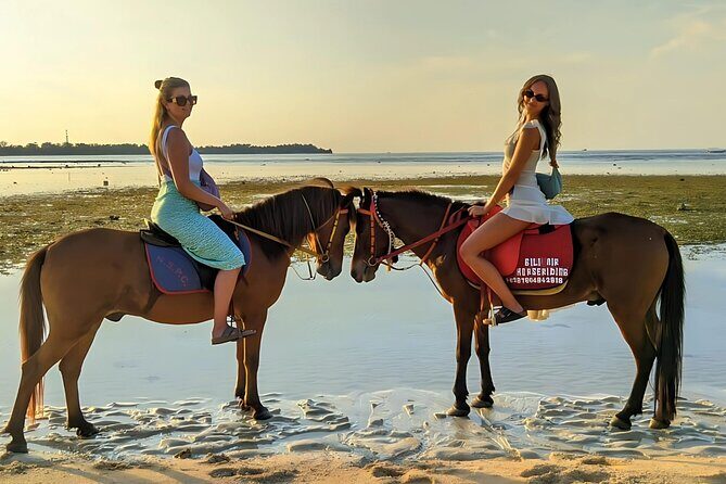 Gili Meno Horse Riding Adventure on the Beach for 1 Hour - FAQ